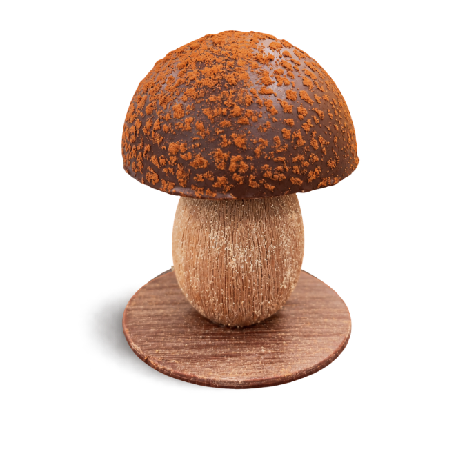 Le Cèpe, création chocolatée de La Cabosse Bleue