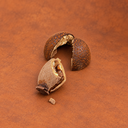 Le-Cepe-chocolat-interieur.webp